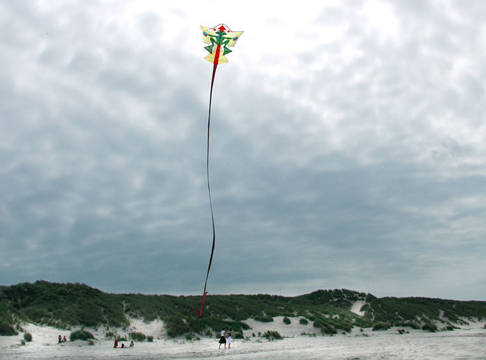 Kikkervlieger op het strand van Terschelling