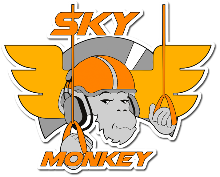 logo SkyMonkey